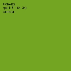 #73A422 - Christi Color Image