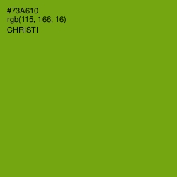 #73A610 - Christi Color Image