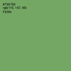 #73A763 - Fern Color Image