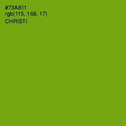 #73A811 - Christi Color Image