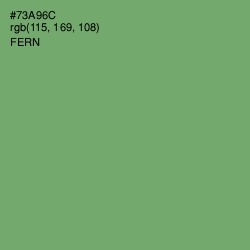 #73A96C - Fern Color Image