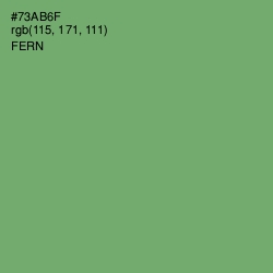 #73AB6F - Fern Color Image