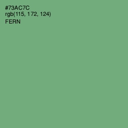 #73AC7C - Fern Color Image