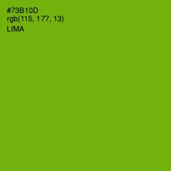 #73B10D - Lima Color Image