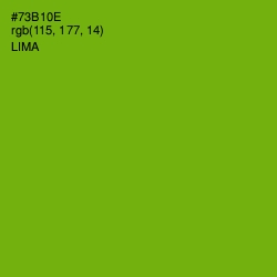 #73B10E - Lima Color Image