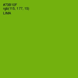 #73B10F - Lima Color Image