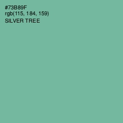 #73B89F - Silver Tree Color Image