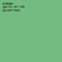 #73BB81 - Silver Tree Color Image