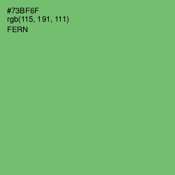 #73BF6F - Fern Color Image