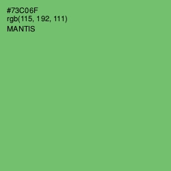 #73C06F - Mantis Color Image
