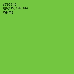 #73C740 - Mantis Color Image