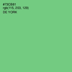 #73CB81 - De York Color Image