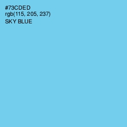 #73CDED - Sky Blue Color Image