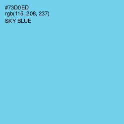 #73D0ED - Sky Blue Color Image
