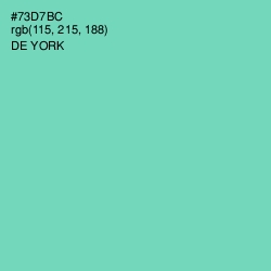 #73D7BC - De York Color Image