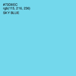 #73D8EC - Sky Blue Color Image