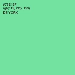 #73E19F - De York Color Image
