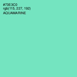 #73E3C0 - Aquamarine Color Image