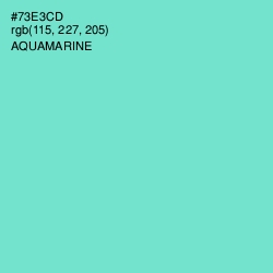 #73E3CD - Aquamarine Color Image