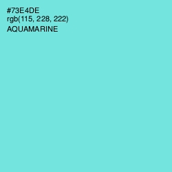 #73E4DE - Aquamarine Color Image