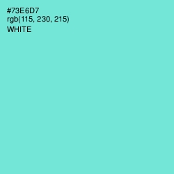 #73E6D7 - Aquamarine Color Image