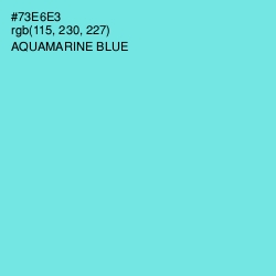 #73E6E3 - Aquamarine Blue Color Image