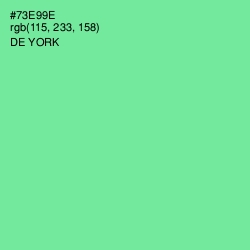 #73E99E - De York Color Image