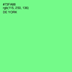 #73FA88 - De York Color Image