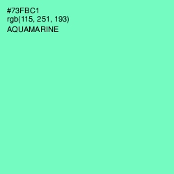 #73FBC1 - Aquamarine Color Image