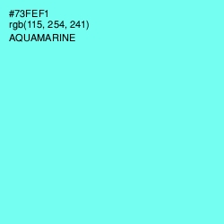 #73FEF1 - Aquamarine Color Image