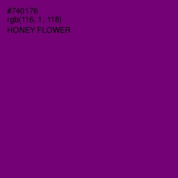 #740176 - Honey Flower Color Image