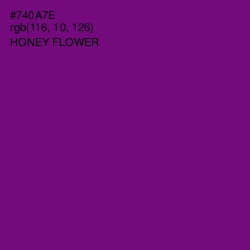 #740A7E - Honey Flower Color Image