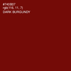 #740B07 - Dark Burgundy Color Image