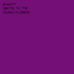 #740F77 - Honey Flower Color Image