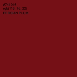 #741016 - Persian Plum Color Image