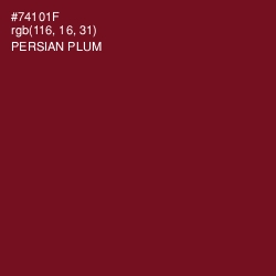 #74101F - Persian Plum Color Image