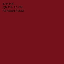 #74111A - Persian Plum Color Image