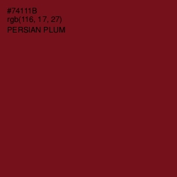 #74111B - Persian Plum Color Image