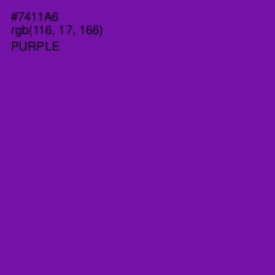 #7411A6 - Purple Color Image