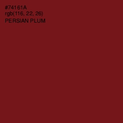 #74161A - Persian Plum Color Image