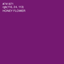 #741871 - Honey Flower Color Image