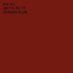 #741A11 - Persian Plum Color Image