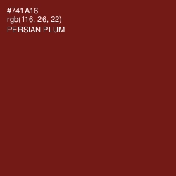 #741A16 - Persian Plum Color Image