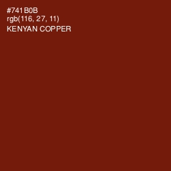 #741B0B - Kenyan Copper Color Image