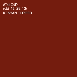 #741C0D - Kenyan Copper Color Image