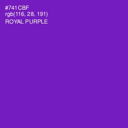 #741CBF - Royal Purple Color Image
