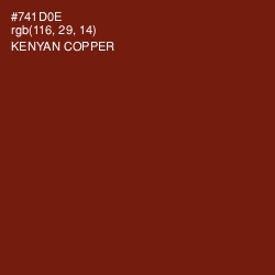 #741D0E - Kenyan Copper Color Image