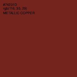 #74231D - Metallic Copper Color Image