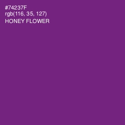 #74237F - Honey Flower Color Image