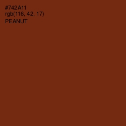 #742A11 - Peanut Color Image